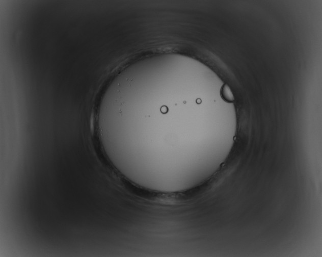 X0000100500076200806130738