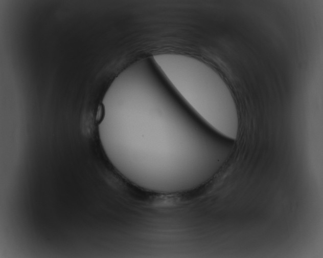 X0000100500077200806130738