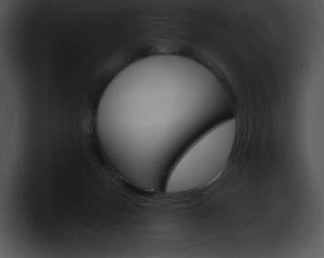 X0000100500078200806130738