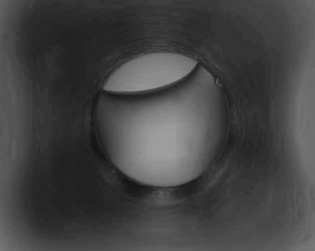 X0000100500080200806130738