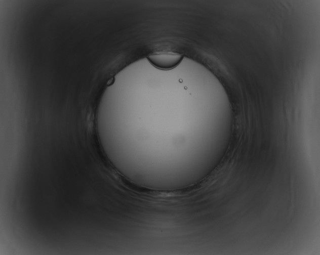 X0000100500081200806130738