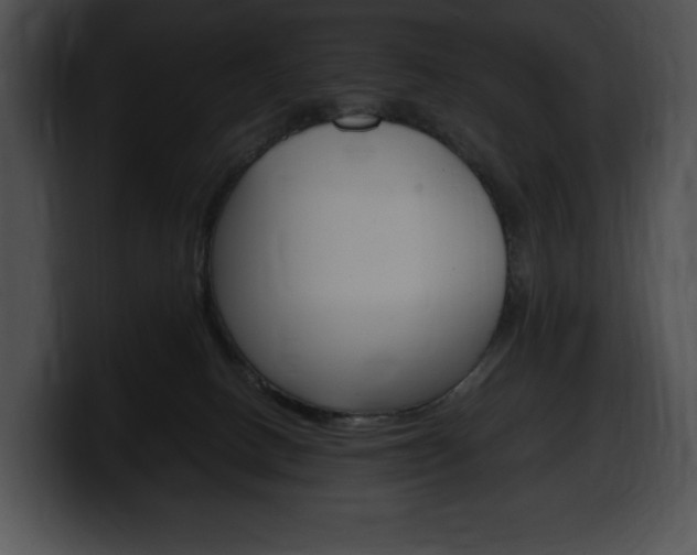 X0000100500082200806130738