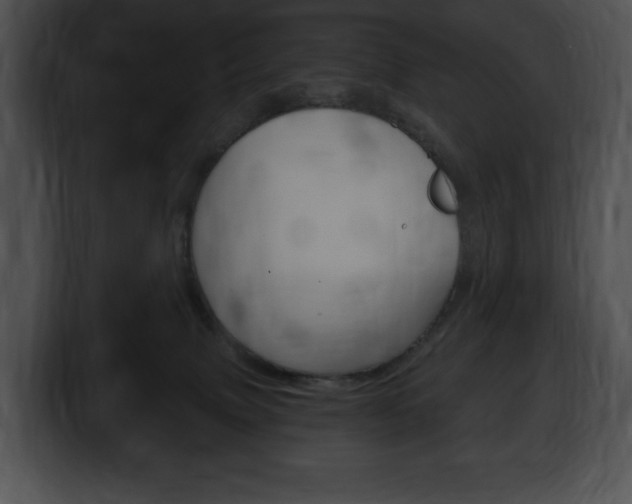 X0000100500083200806130738