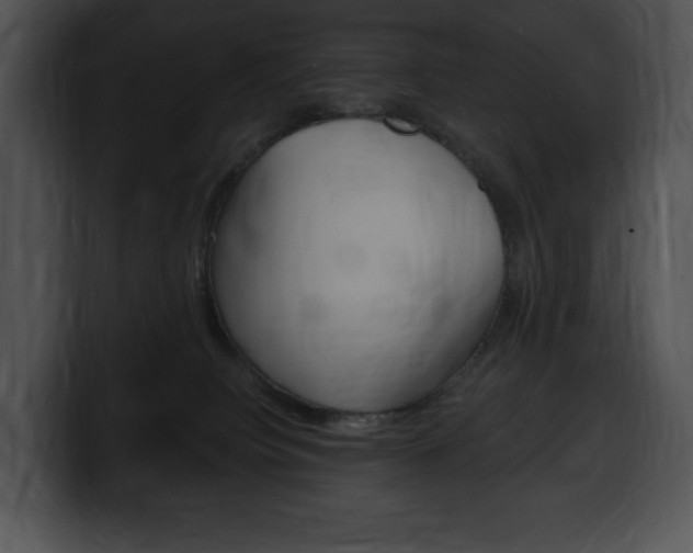 X0000100500084200806130738