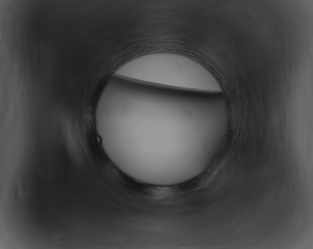 X0000100500085200806130738