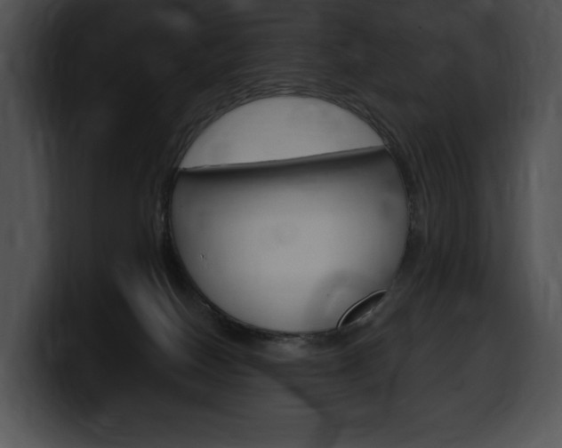 X0000100500086200806130738