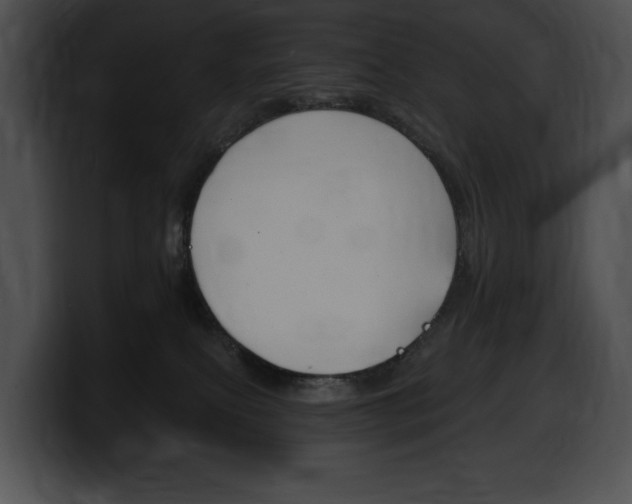 X0000100500087200806130738