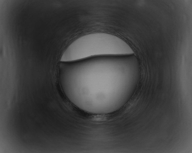 X0000100500088200806130738