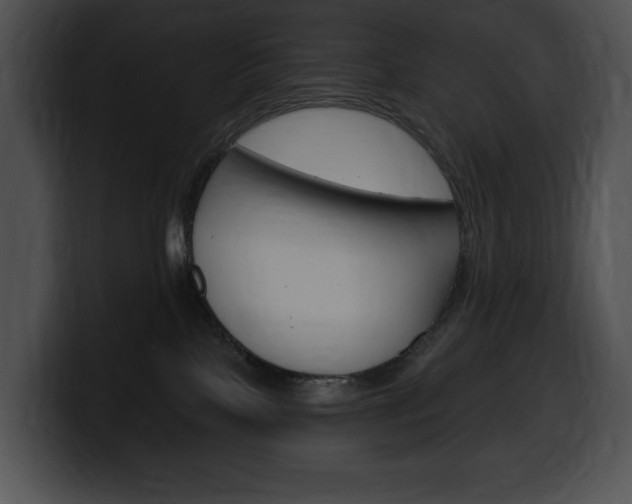 X0000100500089200806130738