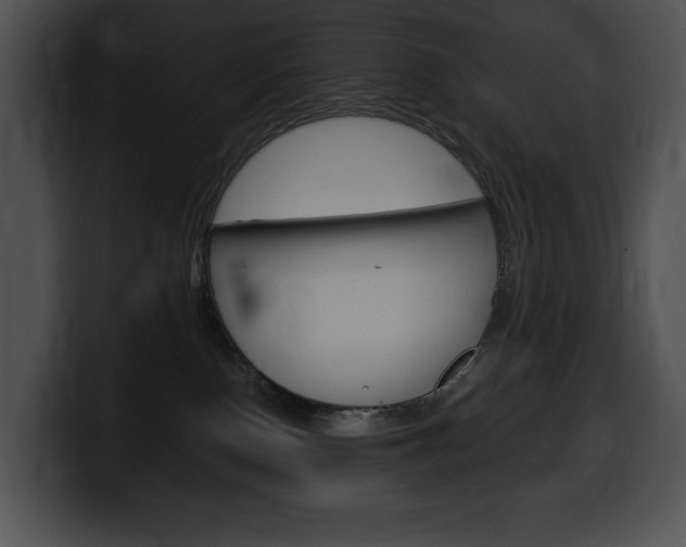 X0000100500090200806130738