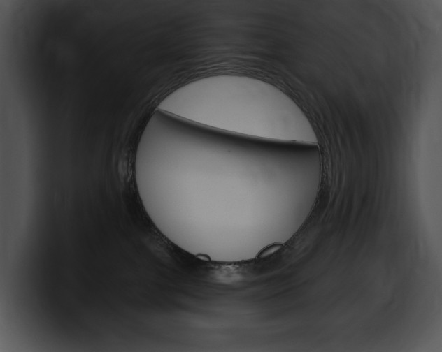 X0000100500091200806130738