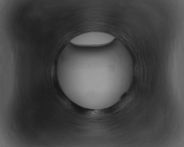 X0000100500092200806130738