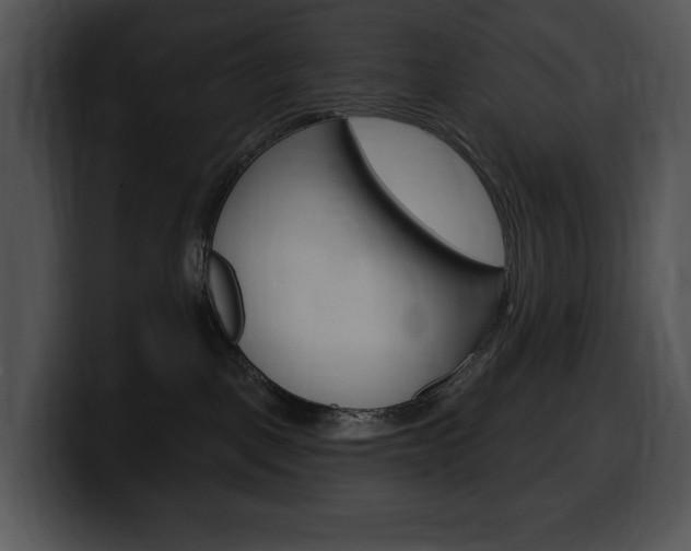 X0000100500093200806130738