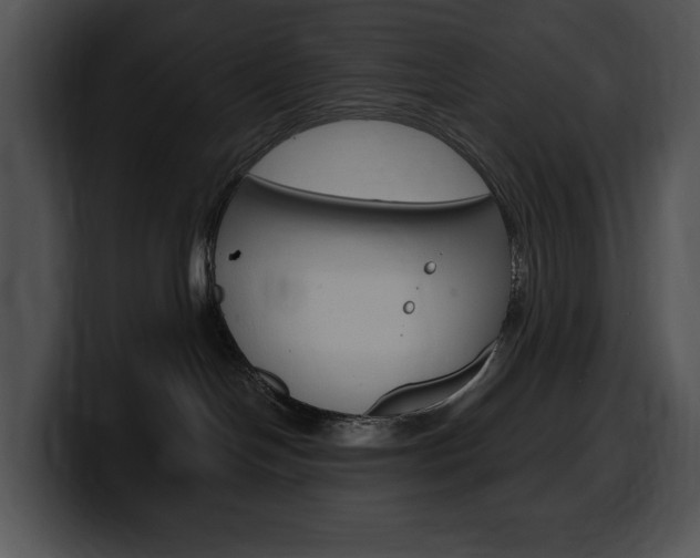 X0000100500094200806130738