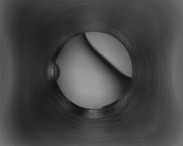 X0000100500095200806130738