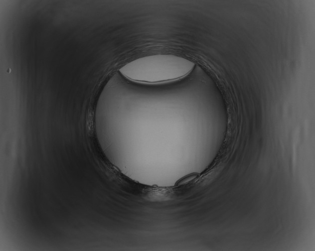 X0000100500096200806130738