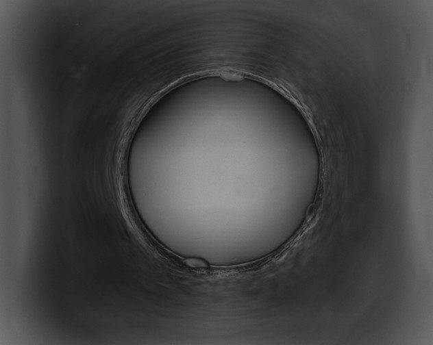 X0000100500097200806130737