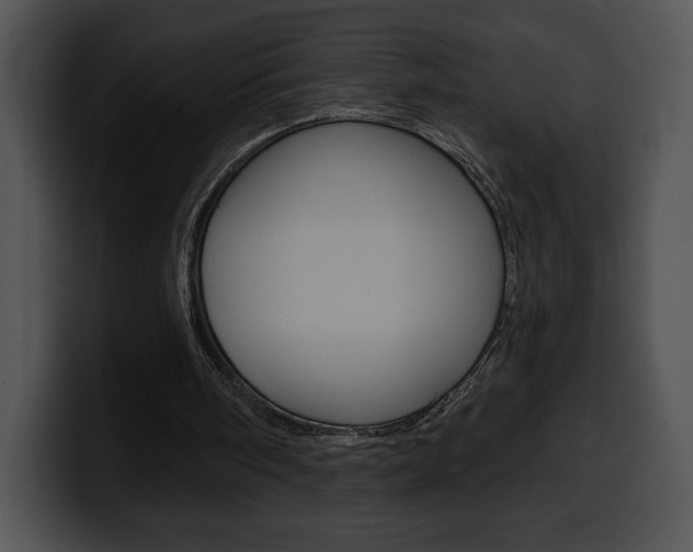 X0000100500098200806130737