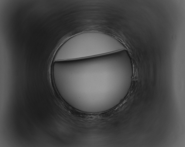 X0000100500099200806130737