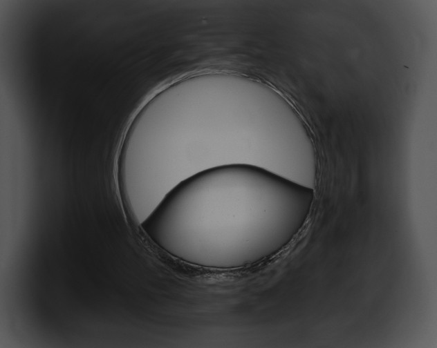 X0000100500100200806130737