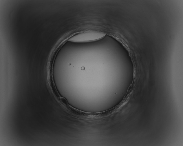 X0000100500101200806130737