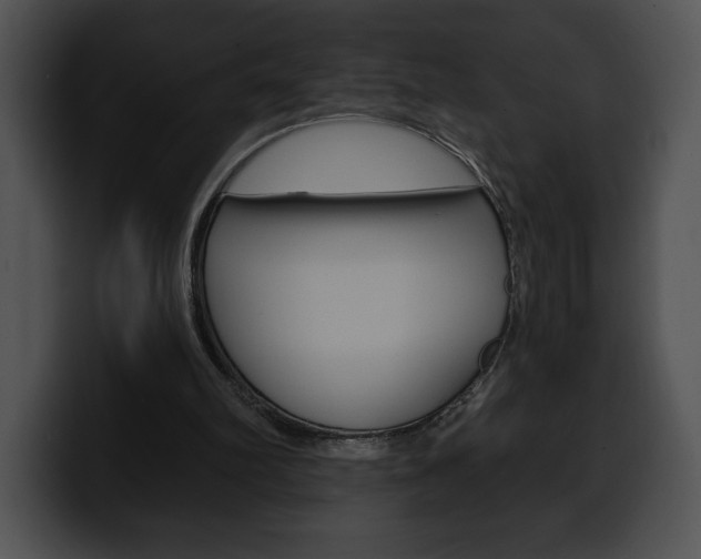 X0000100500102200806130737