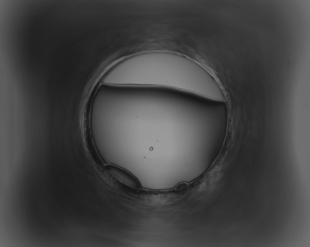 X0000100500103200806130737