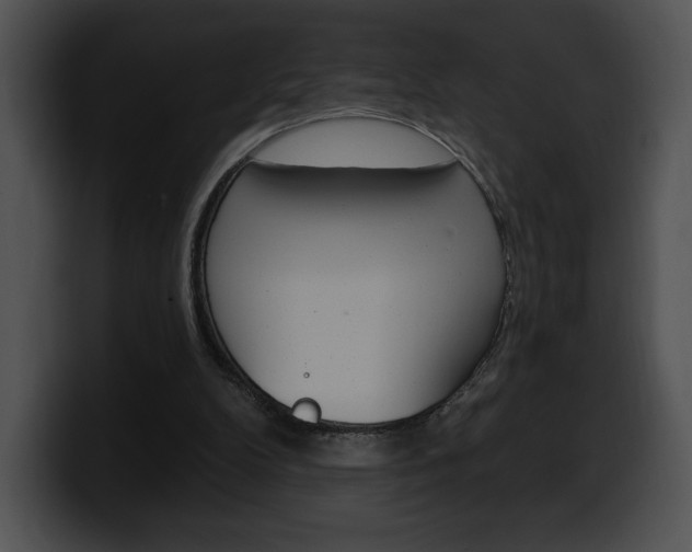 X0000100500104200806130737