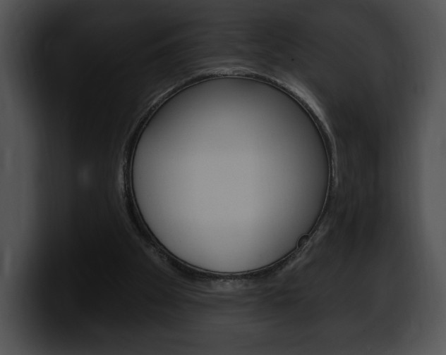 X0000100500105200806130737