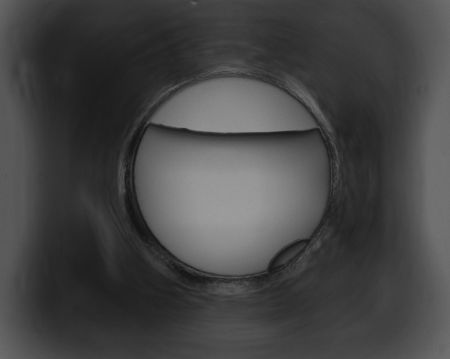 X0000100500106200806130737