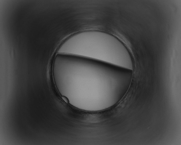 X0000100500107200806130737