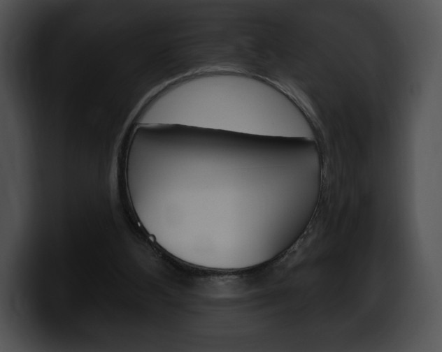 X0000100500108200806130737