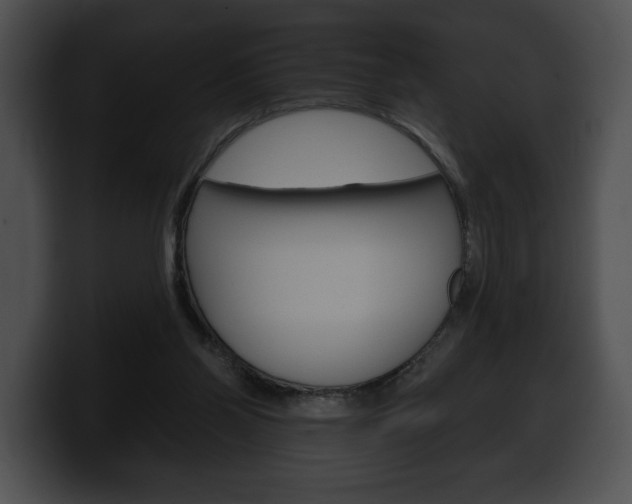 X0000100500110200806130737