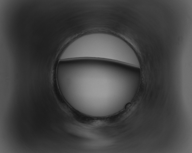 X0000100500111200806130737