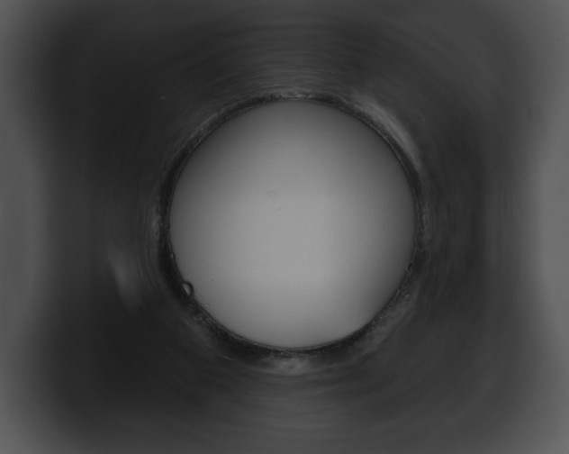 X0000100500113200806130737