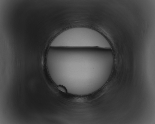 X0000100500115200806130737