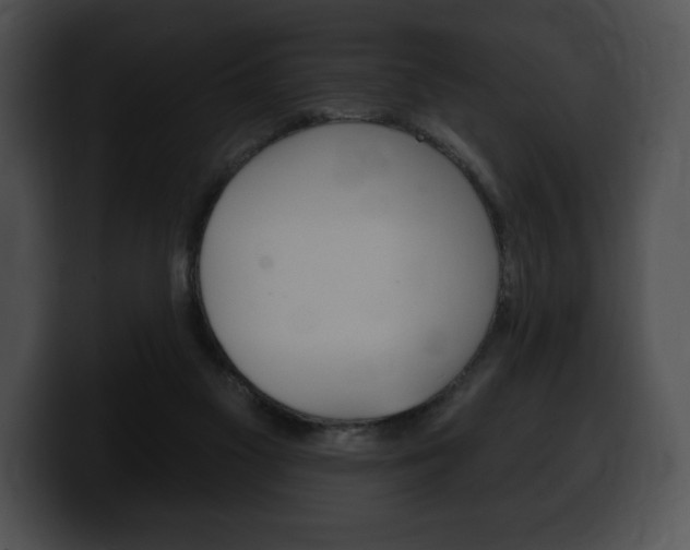 X0000100500117200806130737