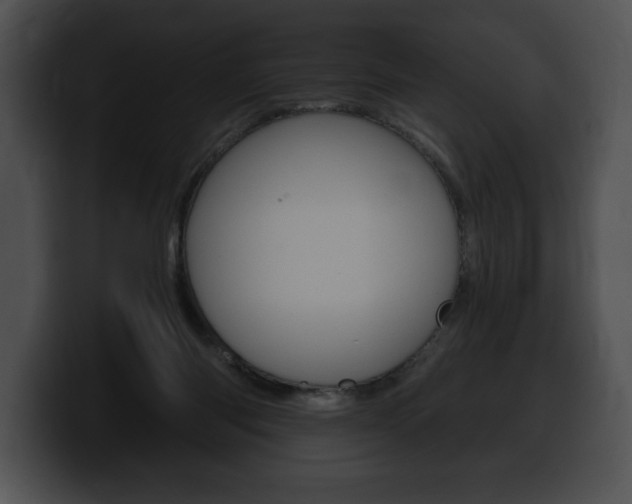 X0000100500118200806130737