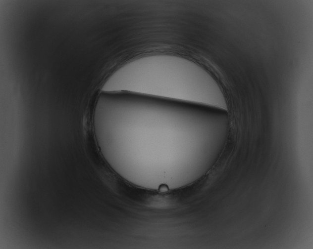 X0000100500119200806130737