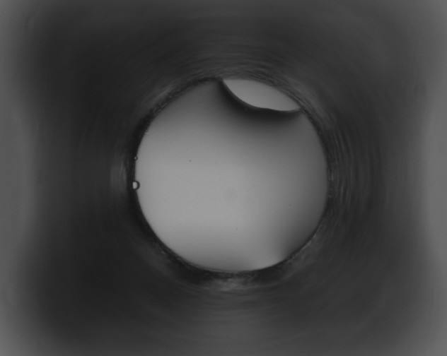 X0000100500120200806130737