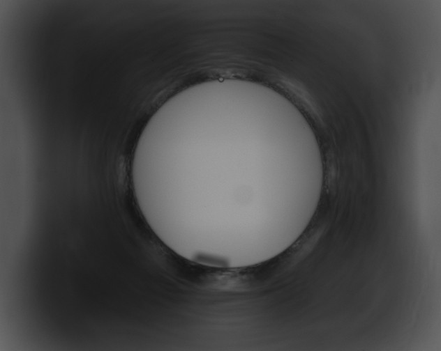 X0000100500121200806130737