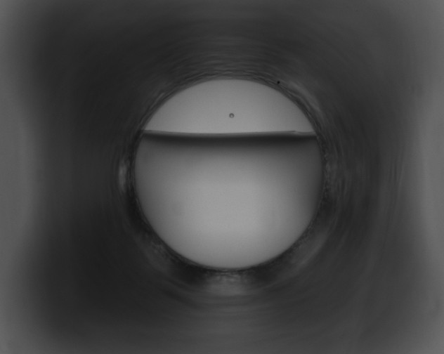 X0000100500123200806130737