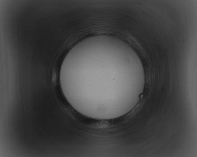 X0000100500124200806130737