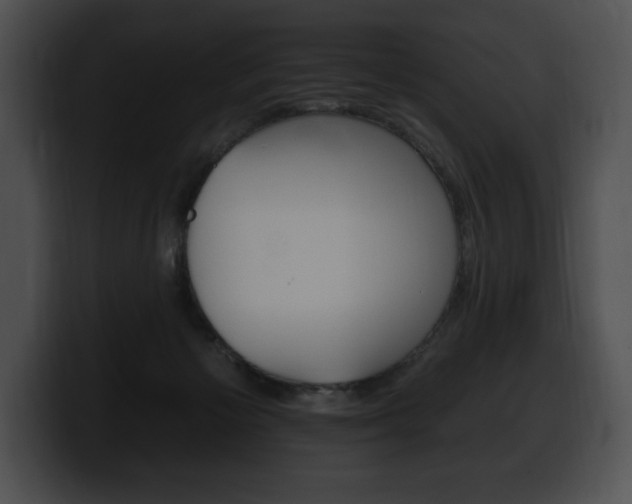 X0000100500125200806130737