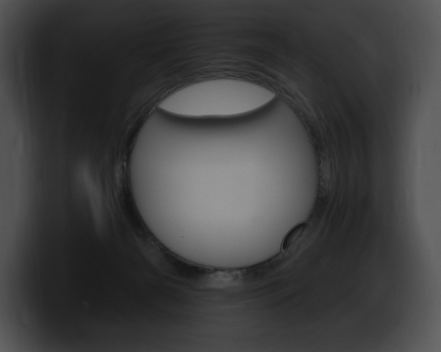 X0000100500126200806130737