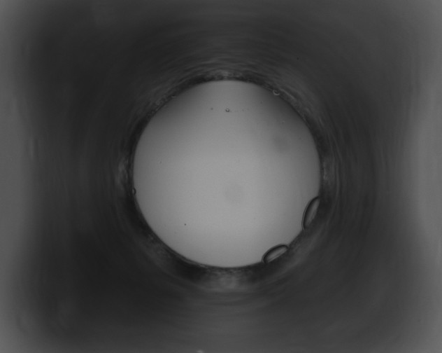 X0000100500127200806130737