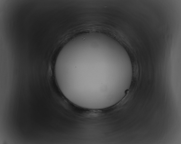 X0000100500128200806130737