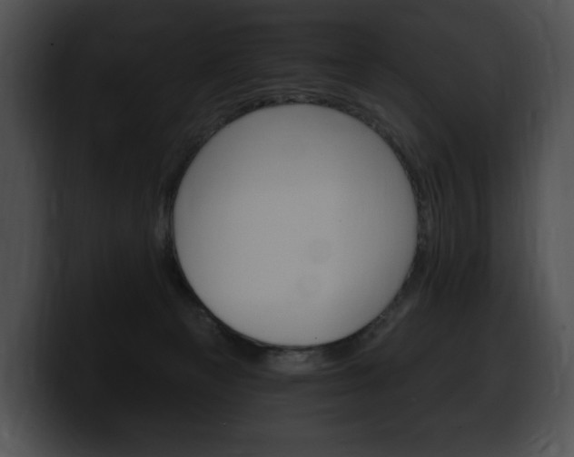 X0000100500129200806130737