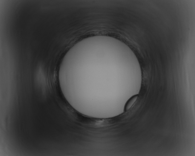 X0000100500130200806130737