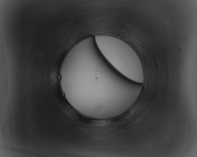 X0000100500131200806130737